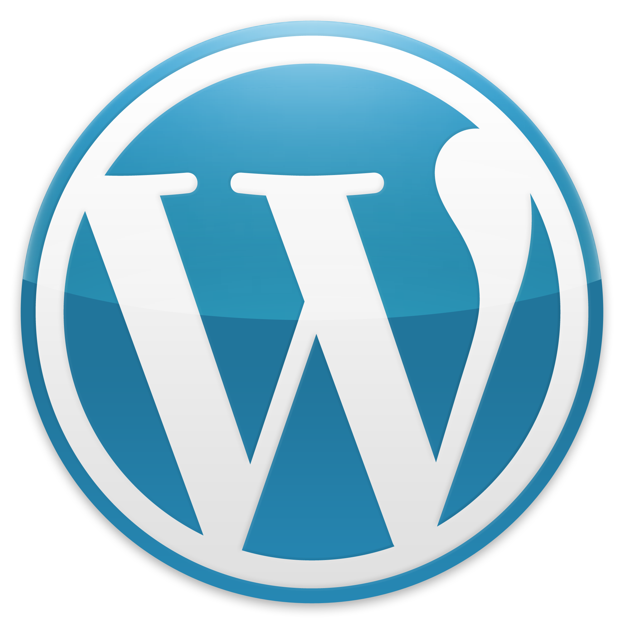 WordPress CMS logo